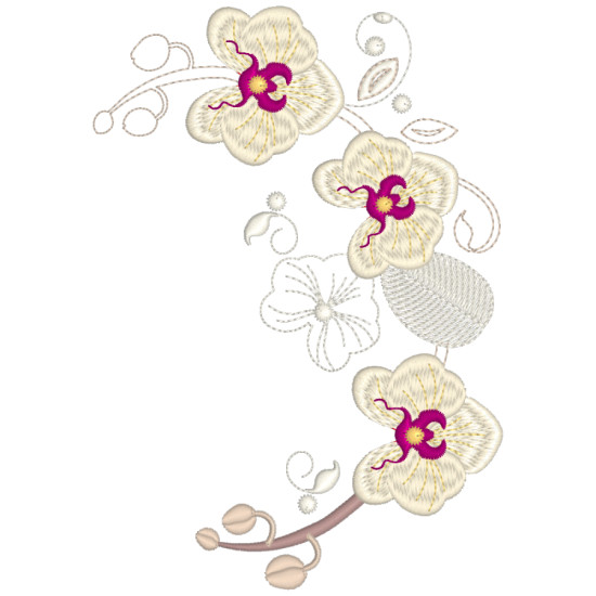 Orchids for Ruth 2