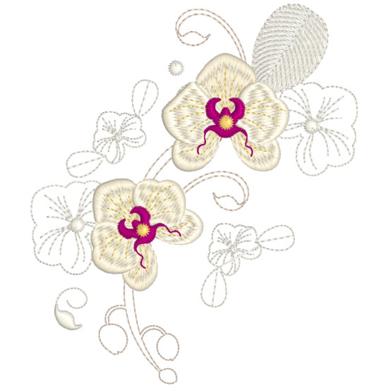 Orchids for Ruth 2