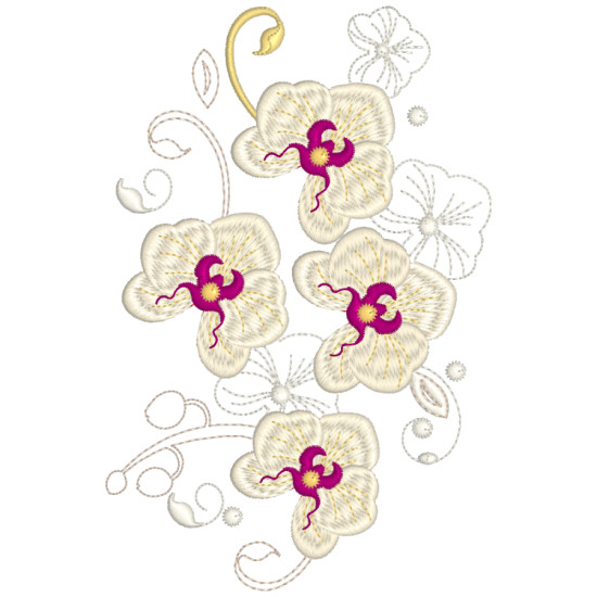 Orchids for Ruth 2