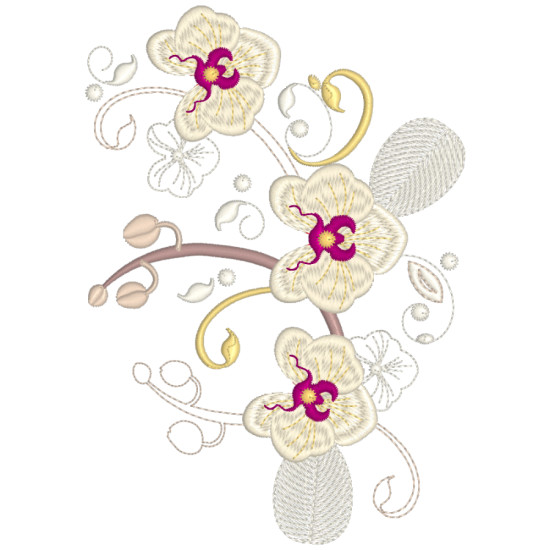 Orchids for Ruth 2
