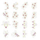 Orchids for Ruth 2