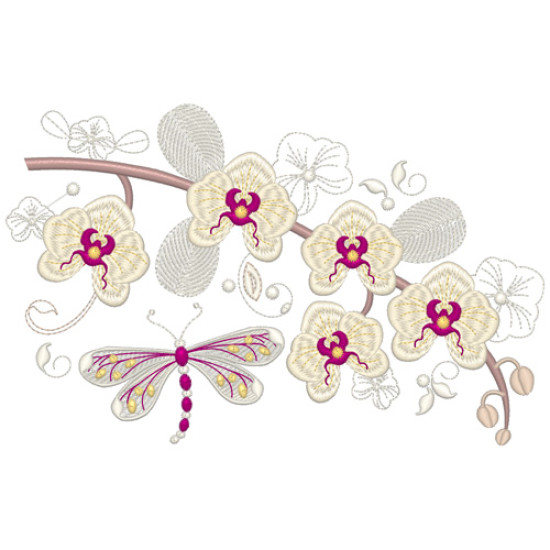 Orchids for Ruth 3