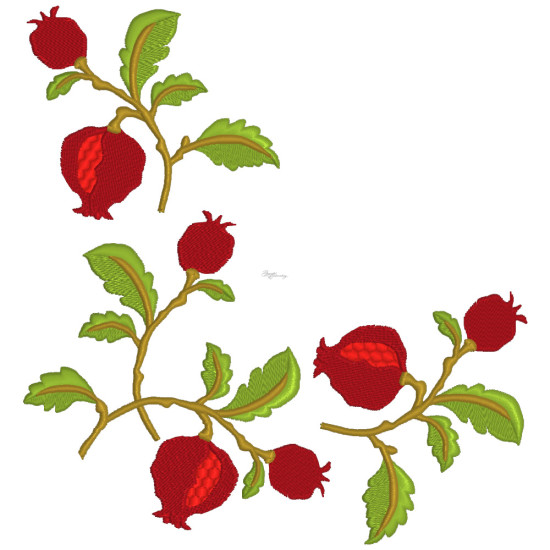Pomegranates 2