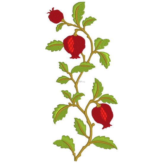 Pomegranates 2