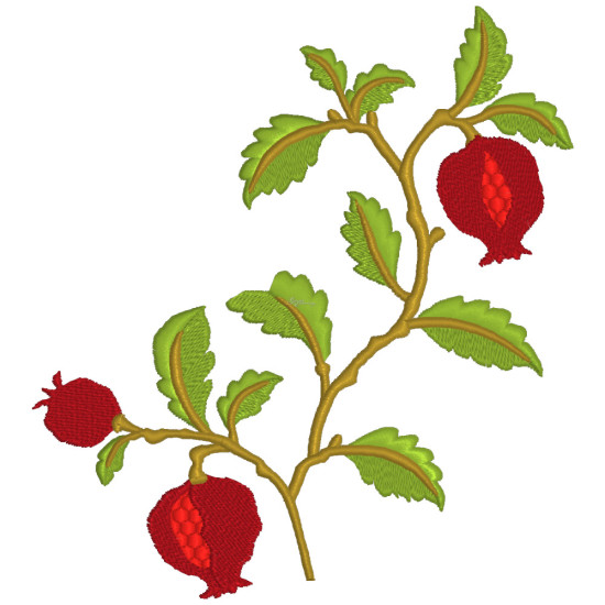Pomegranates 2