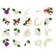 Renaissance Fuchsias 1  