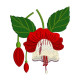 GFE-RNF-1-7