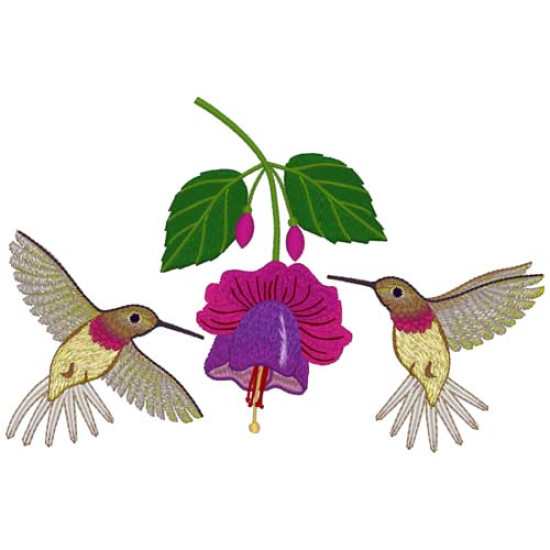 Renaissance Fuchsias 2 