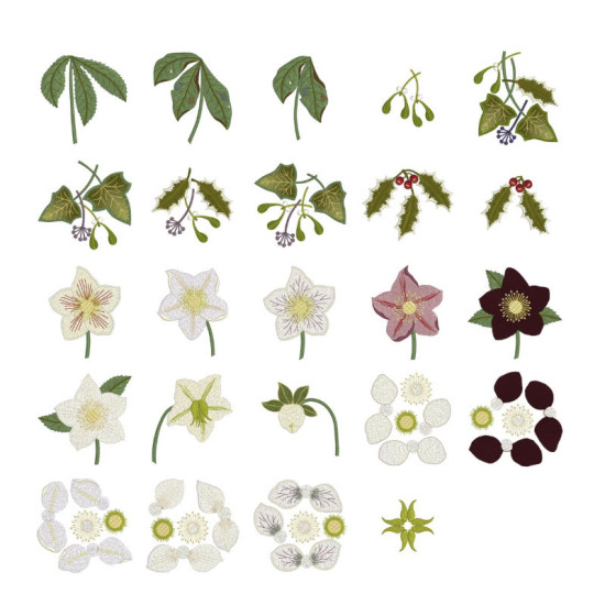 hellebore botanical embroidery designs