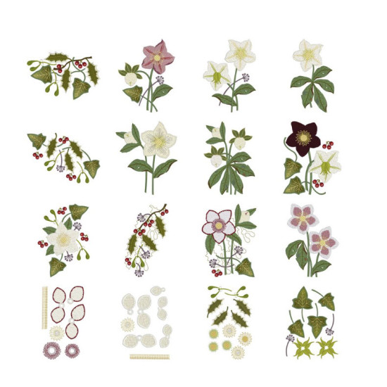 hellebore botanical embroidery designs