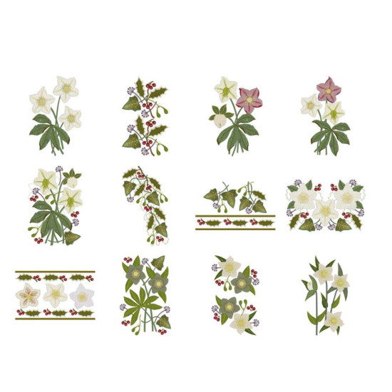 hellebore botanical embroidery designs