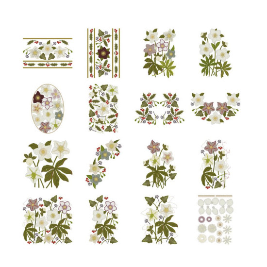 hellebore botanical embroidery designs