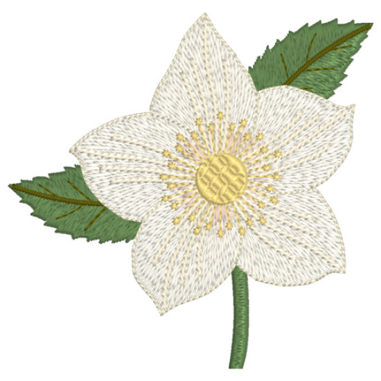hellebore botanical embroidery designs