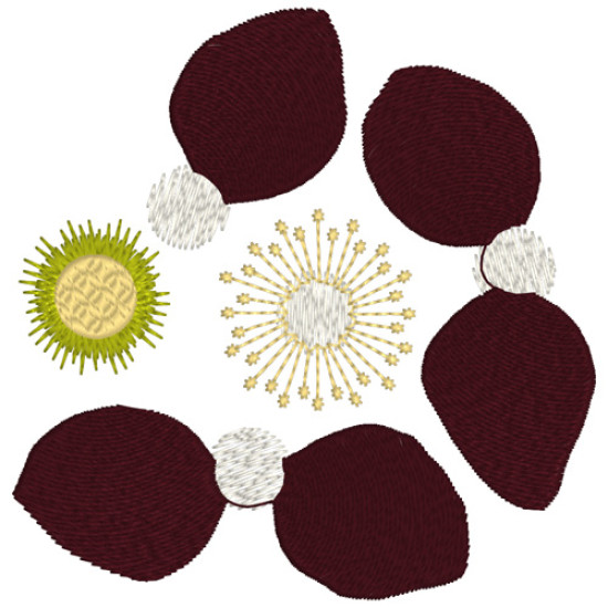 hellebore botanical embroidery designs
