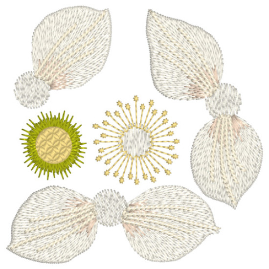hellebore botanical embroidery designs