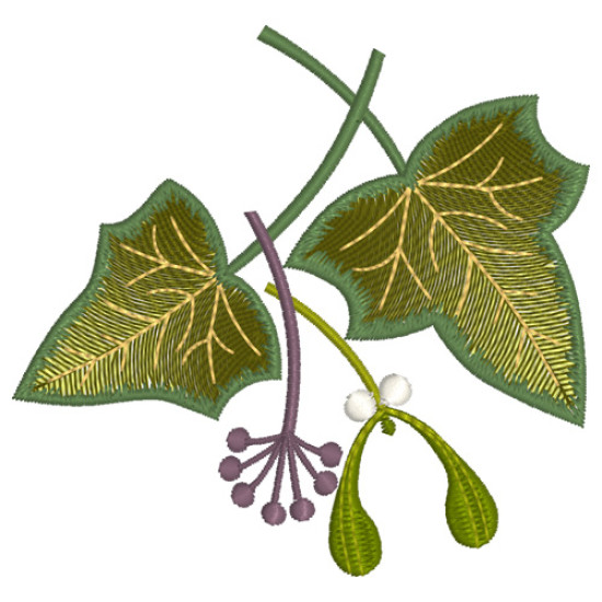 hellebore botanical embroidery designs