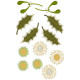 GFE-WJW-2-15