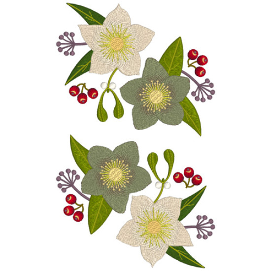hellebore botanical embroidery designs