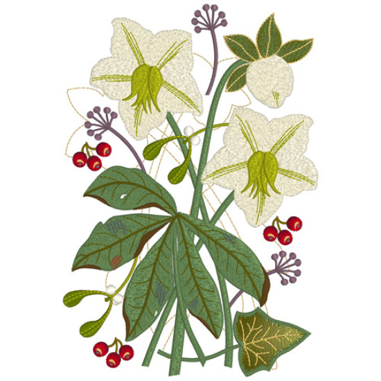 hellebore botanical embroidery designs