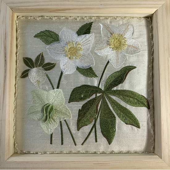 hellebore botanical embroidery designs