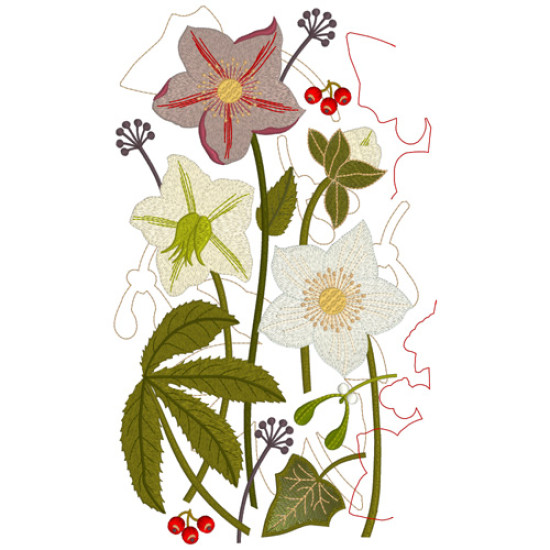 hellebore botanical embroidery designs