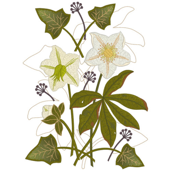 hellebore botanical embroidery designs