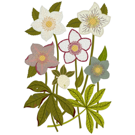 hellebore botanical embroidery designs